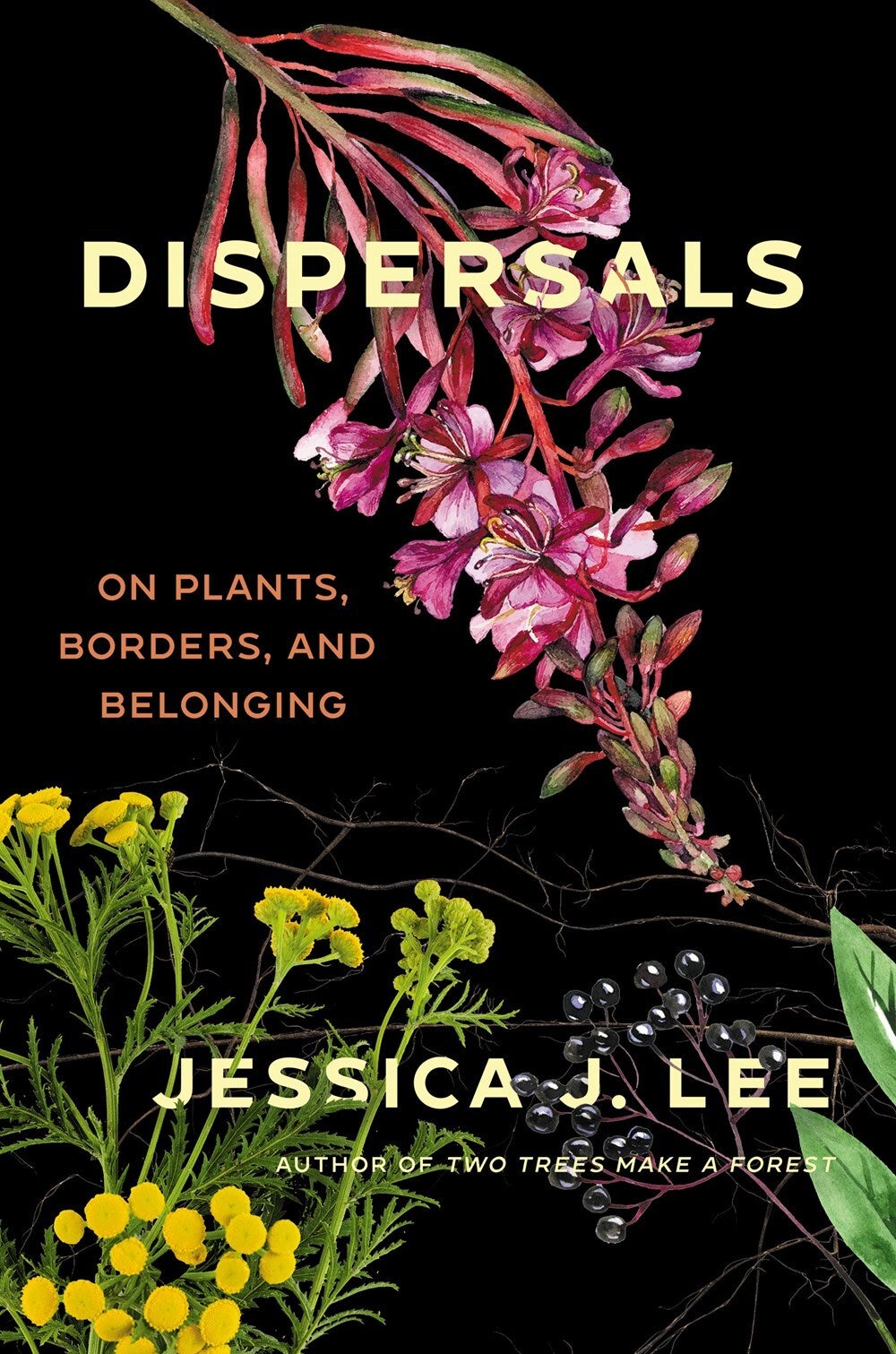 Dispersals On Plants, Borders, and Belonging, by Jessica J. Lee Salmonberry Books